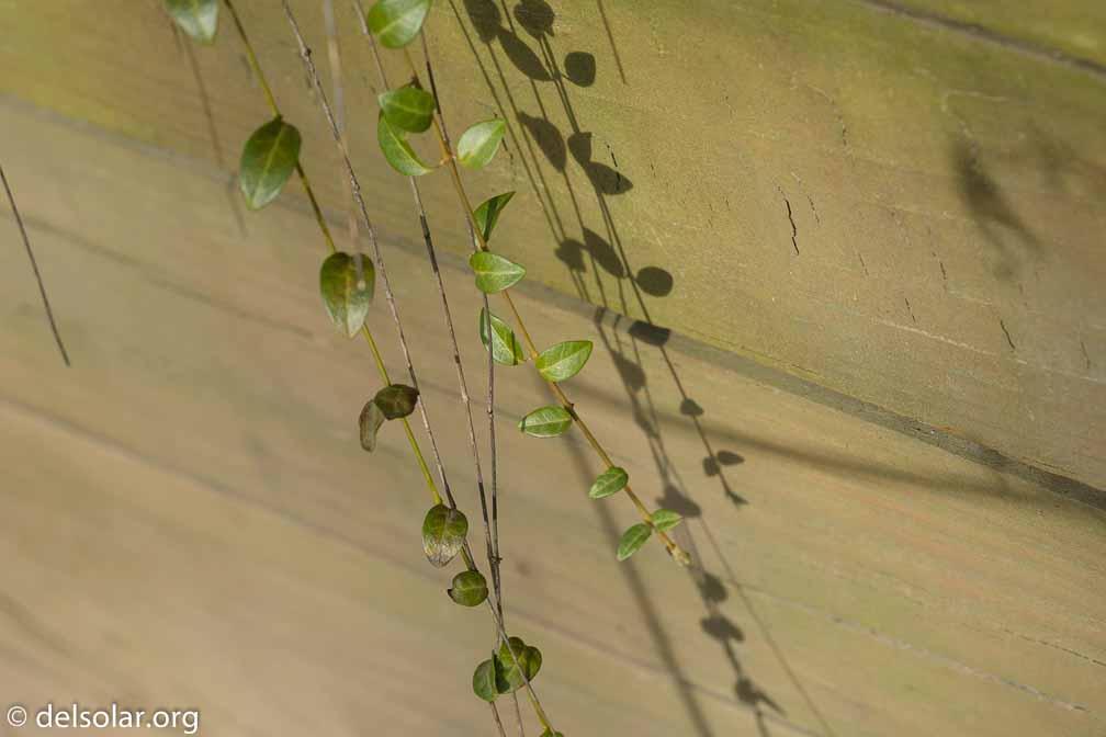 ILCE-6500  --  FE 90mm F2.8 Macro G OSS -- 1/640 sec at f / 5.0 -- ISO 200 -- 0 EV -- 