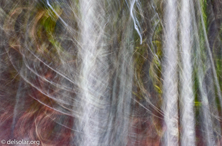 Canon EOS 40D  --  73 mm  --  EF70-200mm f/4L USM  