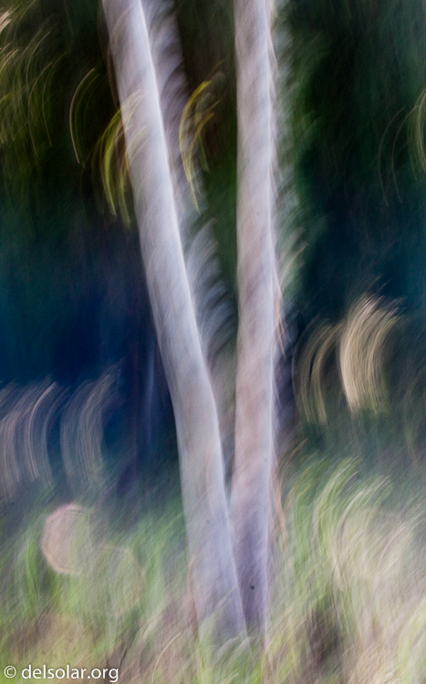 Canon EOS 40D  --  70 mm  --  EF70-200mm f/4L USM  