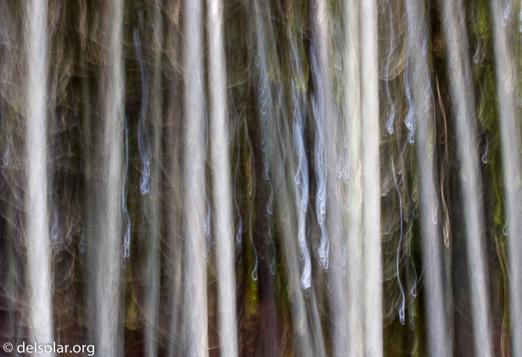 Canon EOS 40D  --  70 mm  --  EF70-200mm f/4L USM  