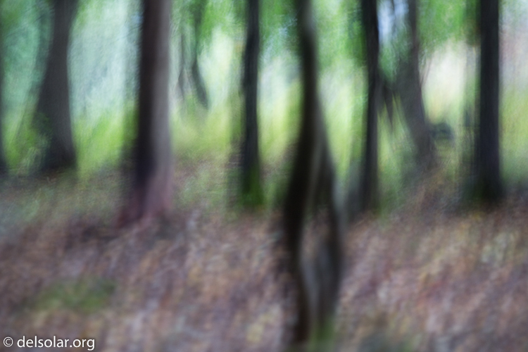 Canon EOS 5D Mark III  --  180 mm  --  EF70-200mm f/4L USM  