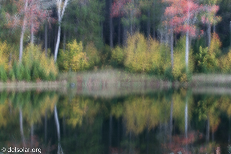 Canon EOS 5D Mark III  --  70 mm  --  EF70-200mm f/4L USM  