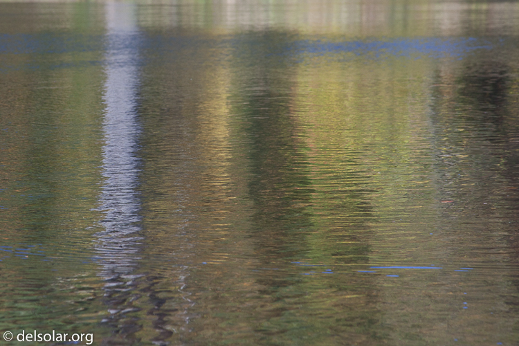 Canon EOS 5D Mark II  --  105 mm  --  EF24-105mm f/4L IS USM  