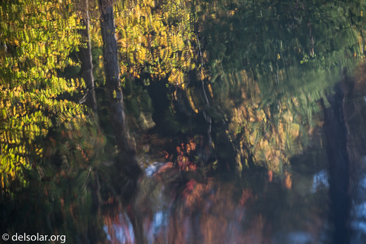 Canon EOS 5D Mark III  --  149 mm  --  EF70-200mm f/4L USM  