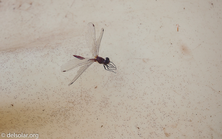 Canon EOS 5D Mark II  --  40 mm  --  EF17-40mm f/4L USM  