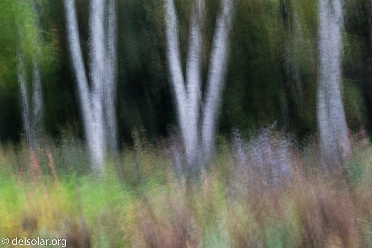 Canon EOS 5D Mark III  --  149 mm  --  EF70-200mm f/4L USM  