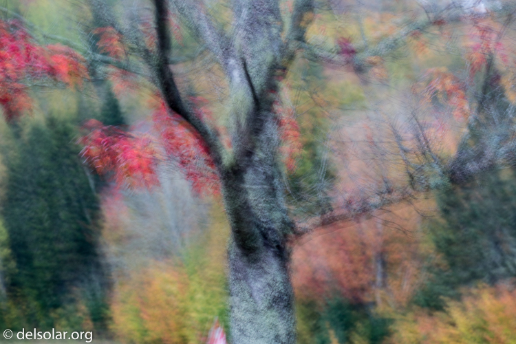 Canon EOS 5D Mark III  --  122 mm  --  EF70-200mm f/4L USM  