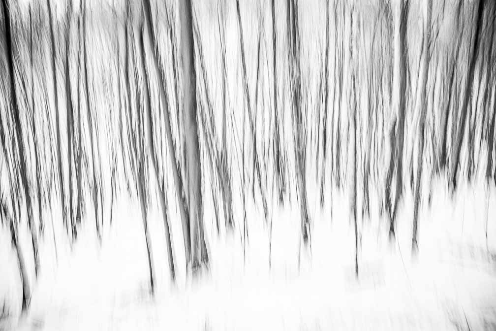 Canon EOS 5D Mark III  --  EF24-105mm f/4L IS USM -- 1/5 sec at f / 4.5 -- ISO 100 -- 0 EV -- 