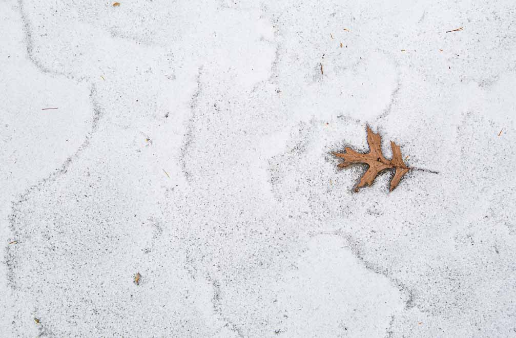 Canon EOS 5D Mark III  --  EF24-105mm f/3.5-5.6 IS STM -- 1/500 sec at f / 7.1 -- ISO 200 -- 1/3 EV -- 