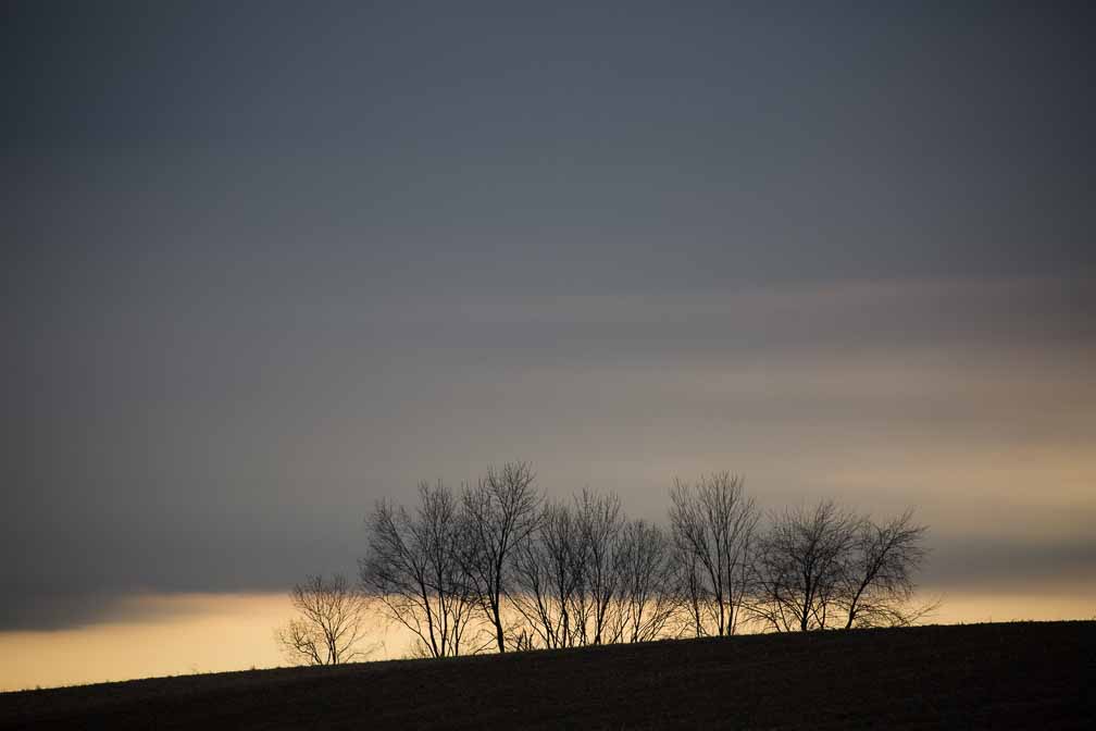 Canon EOS 5D Mark III  --  EF100-400mm f/4.5-5.6L IS II USM -- 1/1600 sec at f / 5.6 -- ISO 400 -- 0 EV -- 