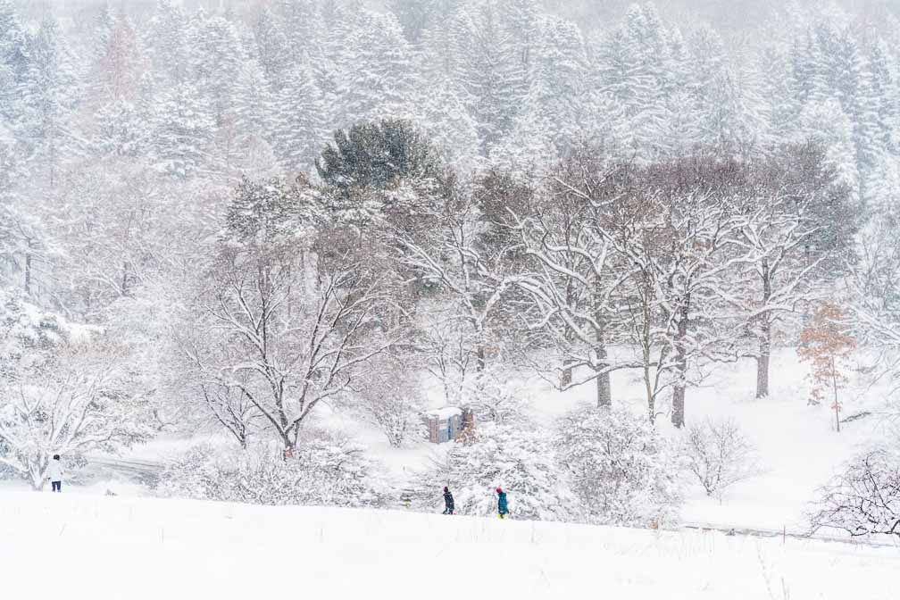 ILCE-7RM4  --  E 28-200mm F2.8-5.6 A071 -- 1/640 sec at f / 6.3 -- ISO 640 -- 0 EV -- 