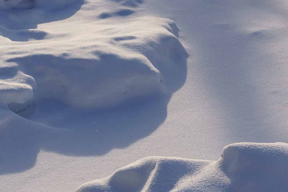 ILCE-6600  --  FE 90mm F2.8 Macro G OSS -- 1/800 sec at f / 8.0 -- ISO 250 -- 0 EV -- 