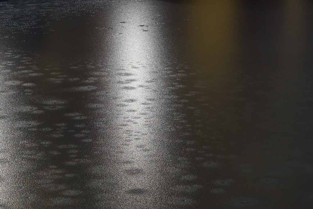 ILCE-7M3  --  E 28-200mm F2.8-5.6 A071 -- 1/10 sec at f / 7.1 -- ISO 2500 -- 0 EV -- 