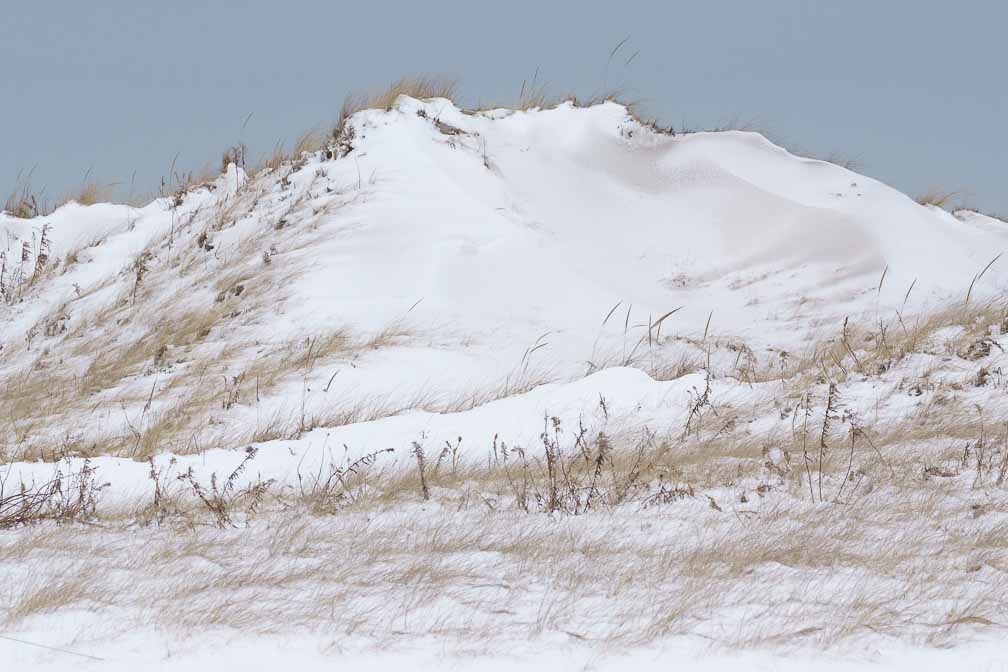 ILCE-7M3  --  DT 100-400mm F4.5-5.6 SAM -- 1/1000 sec at f / 10 -- ISO 1250 -- 3/10 EV -- 