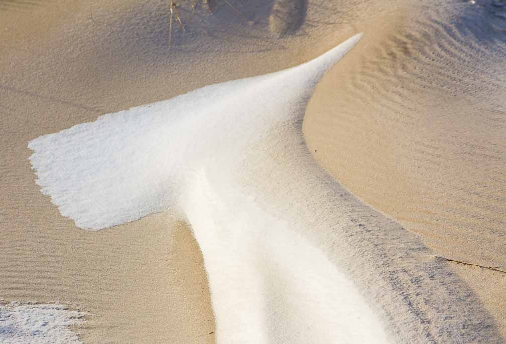 Canon EOS 5D Mark II  --  EF24-105mm f/4L IS USM -- 1/1250 sec at f / 7.1 -- ISO 200 -- 1/3 EV -- 